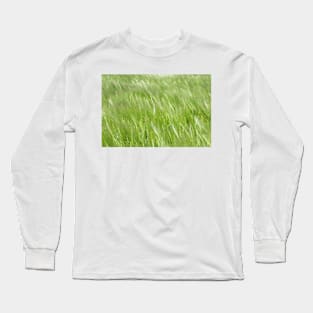 A crop of barley blowing in the breeze in a Yorkshire field Long Sleeve T-Shirt